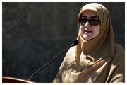 مهاجرانی: پروژه ایران‌هراسی برای تضعیف روابط ایران با جهان است