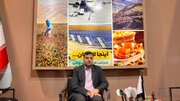 لارستان با سبد جامع صادراتی، بومی و صنعتی به آوردگاه شیراز اکسپو آمد