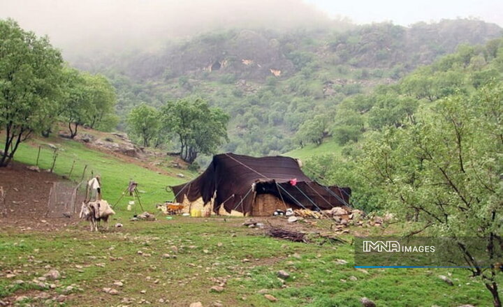 کوچ با طعم زندگی؛ عشایر کرمانشاه میان سنت‌های دیرپا و رنج معیشت