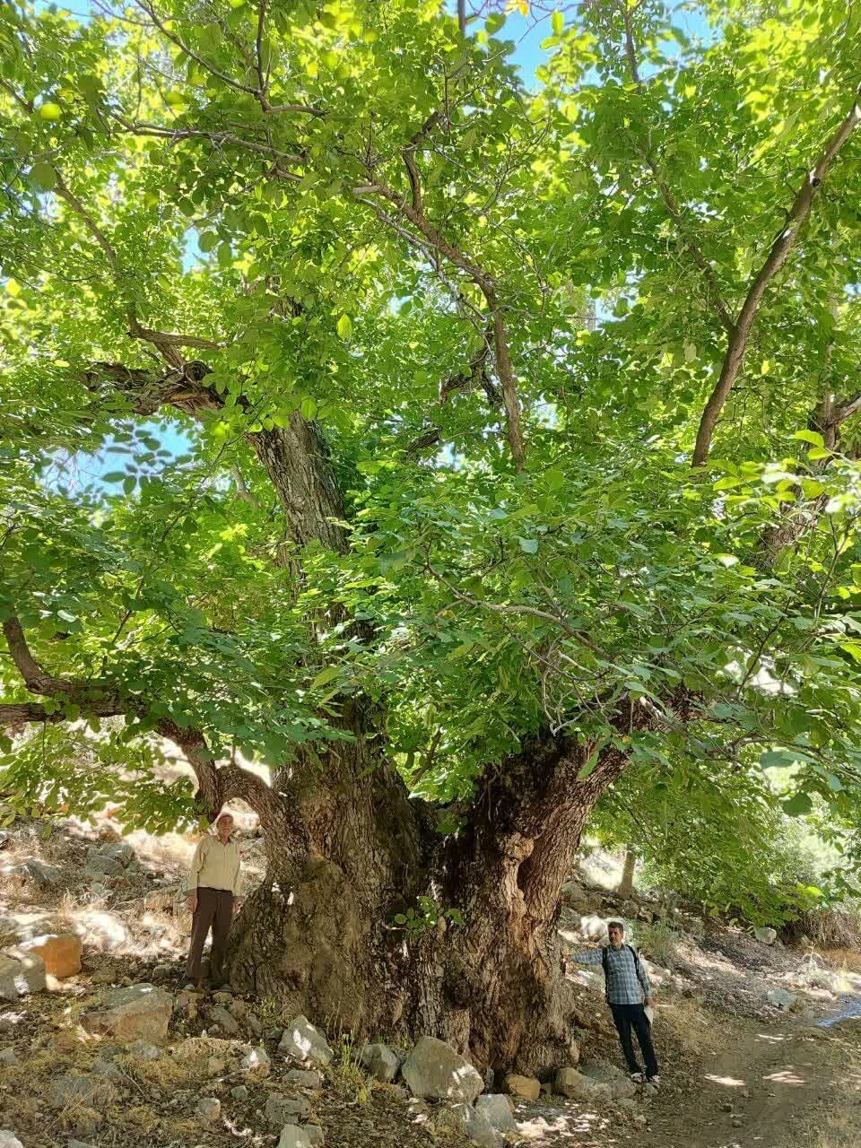 میراث لرستان زیر ذره‌بین؛ ثبت آثار پایان راه نیست