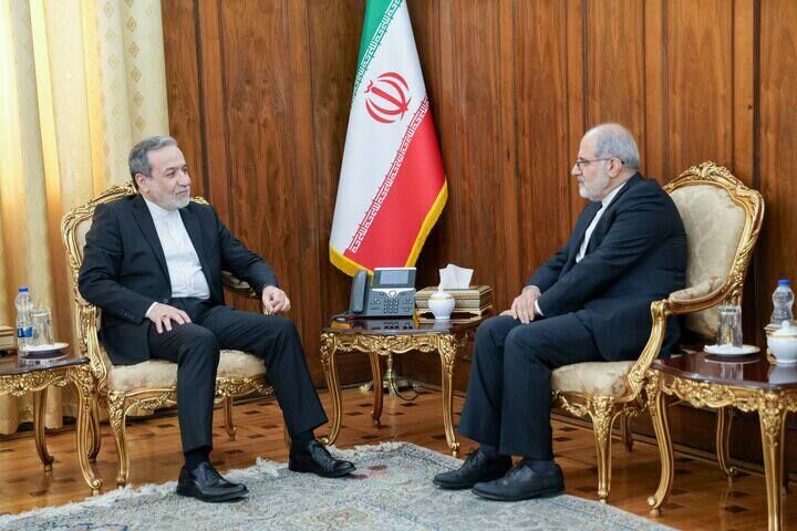 از همه ظرفیت‌های دیپلماسی برای صیانت از منافع ملی استفاده می‌کنیم