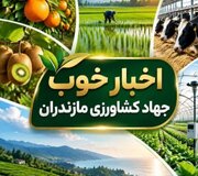 تخصیص ۱۰۸ میلیارد ریال اعتبار مکانیزاسیون در مازندران