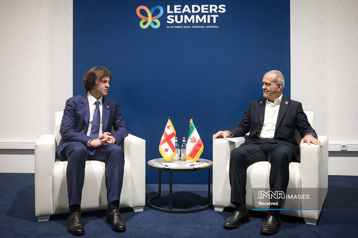 دیدار نخست وزیر گرجستان با رئیس جمهور