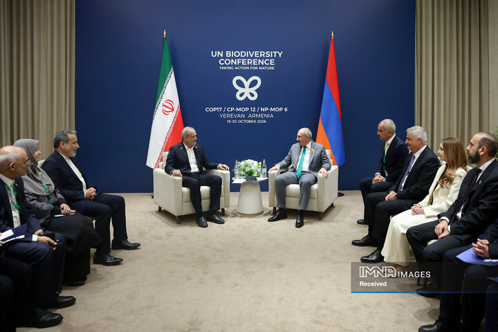 دیدار نخست وزیر ارمنستان با رئیس جمهور