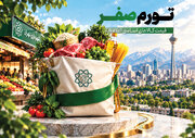 همه چیز درباره طرح تورم صفر | طرح تورم صفر در سایر استان‌ها اجرا می‌شود؟