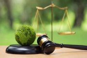 صدور ۱۶ حکم سبز برای متخلفان محیط‌زیستی در کردستان