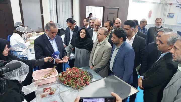 فراوری محصولات کشاورزی؛ فرصتی برای رونق تولید و اشتغال پایدار