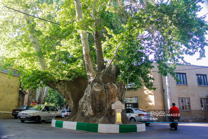 مرکزیِ ایران در قاب تصویر؛ روایت سرزمین مفاخر، طبیعت و صنعت