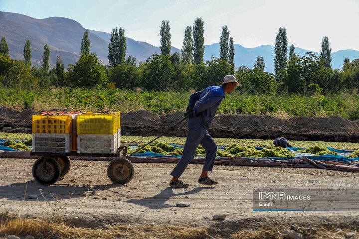 مرکزیِ ایران در قاب تصویر؛ روایت سرزمین مفاخر، طبیعت و صنعت