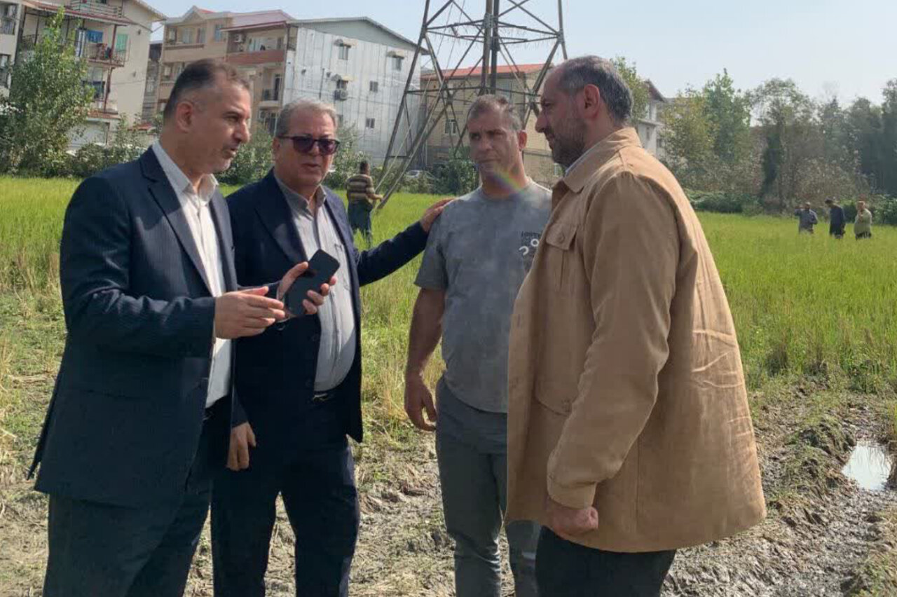 جمعآوری ۲۳ برج انتقال برق در آستارا برای آزادسازی اراضی مردم