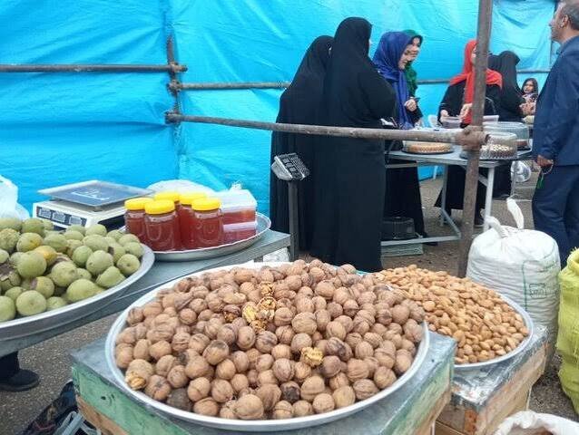 جشنواره ملی گردوی سهرورد فرصتی برای معرفی ظرفیت‌های گردشگری زنجان