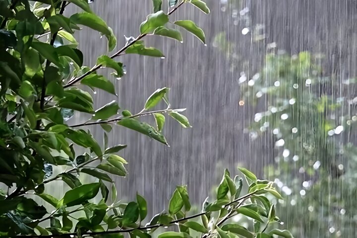 هشدار زرد هواشناسی در لرستان؛ احتمال بارش‌های رگباری و وزش باد شدید