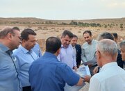 پاسخ عملیاتی به تقاضای فزاینده برق در شیراز/ توسعه زیرساخت‌های انتقال در دستور کار