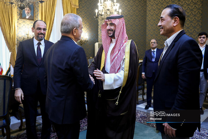دیدار مقامات ترکیه، پاکستان و عربستان با رییس جمهور