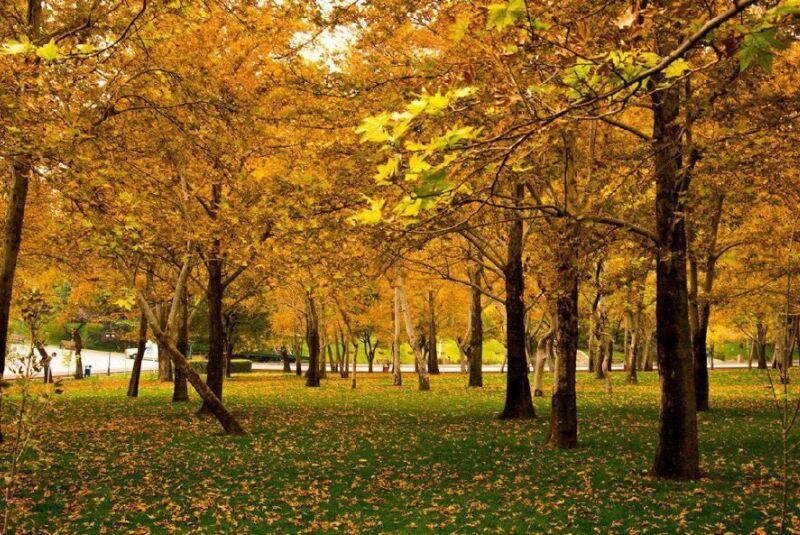 جاهای دیدنی پایتخت در پاییز؛ راهنمای گردش در تهران هزاررنگ