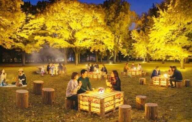 از پراگ تا توکیو؛ بهترین جشنوارههای نور و هنر دیجیتال پاییز ۲۰۲۶
