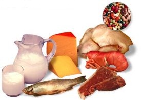 مصرف مواد پروتیینی موجب افزایش تمركز افراد می‌شوند