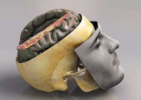 وقتی مغز ضربه می‌خورد...