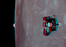 عقاب بلند می‌شود