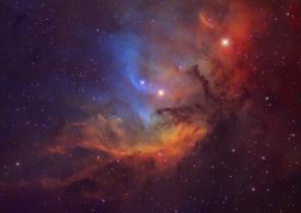 لاله در دل قو