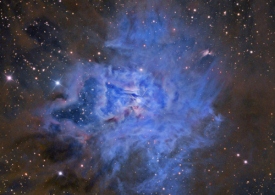 NGC ۷۰۲۳: سحابی زنبق