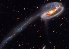 بچه قورباغه کیهانی، گرفتار کهکشان مزاحم