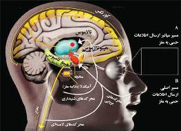 چرا می‌‌‌‌‌‌‌‌‌ترسیم؟