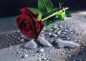 گفتم این عید به دیدار خودم هم بروم/ دلم از دیدن این آینه ترسید چرا؟!