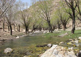 با روستای اسفرجان و جاذبه های طبیعی آن بیشتر آشنا شویم