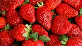 تاثیر مصرف توت فرنگی در تنظیم قند خون