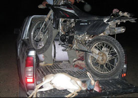 كشف لاشه يك رأس آهو در پناهگاه حيات وحش قميشلو