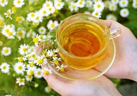 بابونه در مداوای عفونت زنان بسیار موثر است