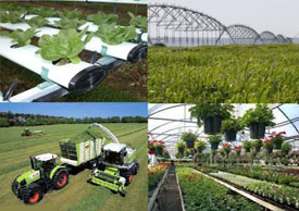 روستای مهیار از قطب‌های کشاورزی استان اصفهان است