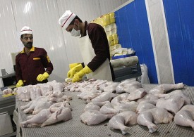 تعهد تولیدکنندگان به مجلس برای تامین مرغ و گوشت دهه نخست محرم