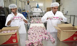 پروانه بهره‌برداری ۶۰۱ واحد صنعتی در بخش کشاورزی اصفهان تدوین شد