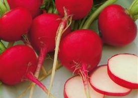 مصرف تربچه یبوست را درمان می‌کند