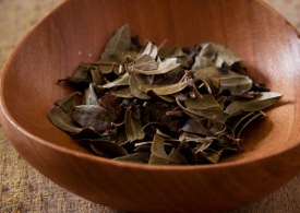 گیاه "روئینه زرین" در دفع سنگ کلیه موثر است