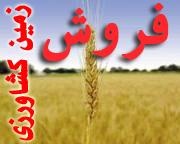 اجاره زمین کشاورزی در برزیل به چه قیمتی؟ / سود کشاورزان ایرانی در جیب اجاره‌بگیرها