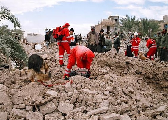 نفی زلزله به معنای نبود آن نیست/ از آموزش های لازم برای مقابله با زلزله بی‌ بهره‌ایم