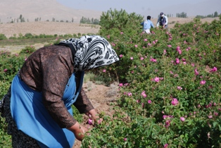 کوه کمر اشک و چشمه آب صالح+عکس