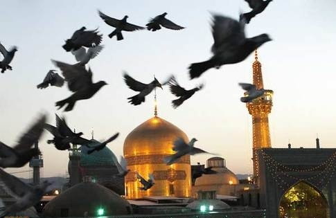 قطعه‌ای از بهشت را در حريم رضا يافتم