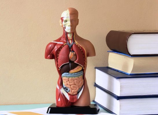 این بیمارستان، آموزشی است؛ شما یک نمونه آزمایشگاهی هستید!