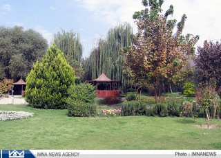 شناسایی 45 گونه گیاهی مقاوم به شرایط کم آبی برای شهر اصفهان