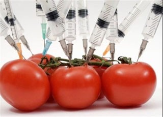 مهندسی ژنتیک علم نوین در اصلاح ژنتیکی محصولات کشاورزی است