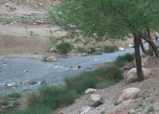 پهنه چند هزار ساله تیران و کرون میعادگاه گردشگران و مسافران+تصاویر