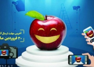 جشنواره عکس "سیب" برگزیدگان خود را شناخت