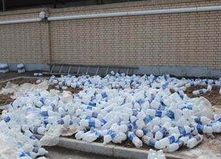 بیش از 2 هزار دوغ تاریخ گذشته توقیف شد