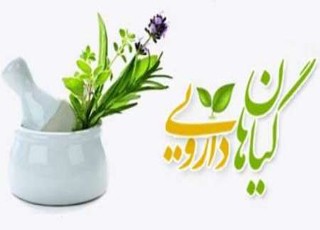 98 درصد رمز و راز گیاهان دارویی ناشناخته باقی مانده است
