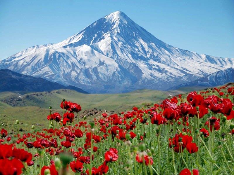 نمایش "ایران زیبا "در کتابخانه ی ملی چین - ایمنا