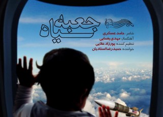 «جعبه سياه» پرواز  ۶۵۵ ایرباس روانه بازار شد